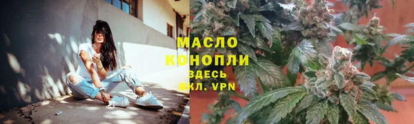 трава Осинники