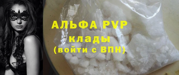 трава Осинники