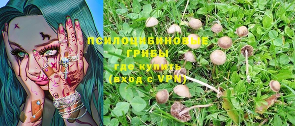 хмурый Осташков