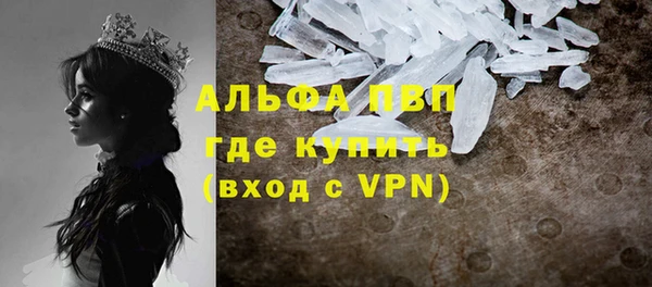 трава Осинники