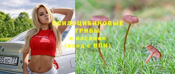 хмурый Осташков