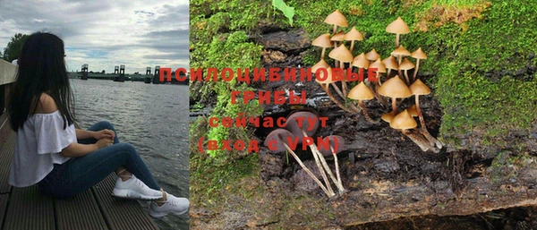 хмурый Осташков