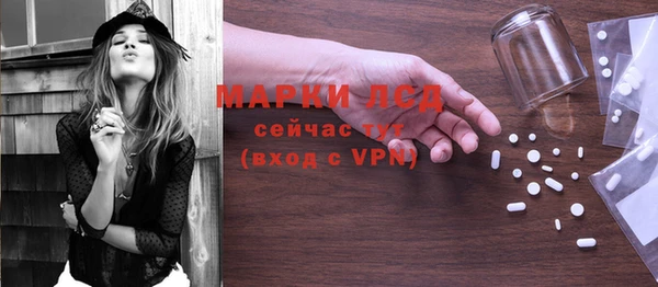 трава Осинники