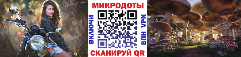 где купить наркоту  Тайга  omg   Галлюциногенные грибы GOLDEN TEACHER 